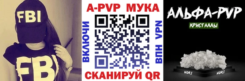 omg tor  Барнаул  A PVP крисы CK 