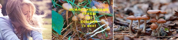 каннабис Строитель