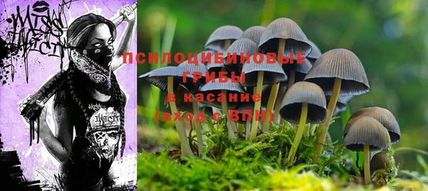 круглые Струнино