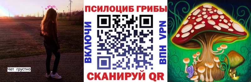 Галлюциногенные грибы Psilocybe  даркнет сайт  Барнаул 